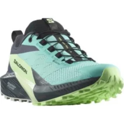 Trailrunning Schoen Salomon Women Sense Ride 5 GTX Blue Radiance Green Ash India Ink -Outdoor Supply-NL 18627863 l472160005ghosense ride 5 gtx wblue radiancegreen ashindia inkpngthumb319319