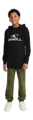 ONeill Hoodie O'Neill Boys O'Neill Logo Black Out 6 ONeill Hoodie O'Neill Boys O'Neill Logo Black Out - Afbeelding 6