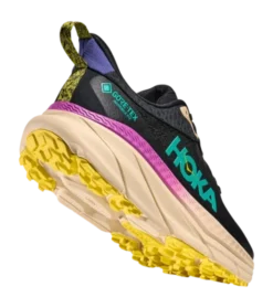 Trailrunning Schoen HOKA Men Challenger 7 GTX Black Oatmeal -Outdoor Supply-NL 21021285 1134501f bktm4 no bg