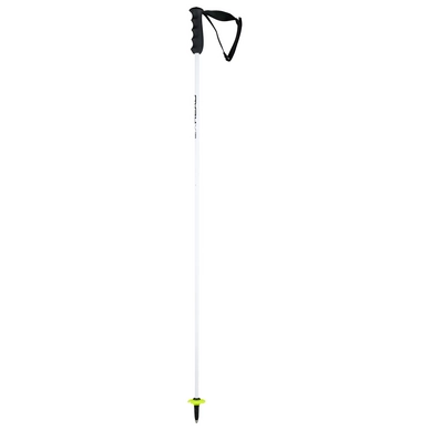 Skistok HEAD Worldcup Rebels Carbon White / Black 1 Skistok HEAD Worldcup Rebels Carbon White / Black