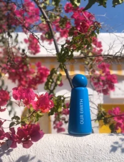 Waterfles Lund London Skittle Dubbelwandig Earth 0,5 L 7 Waterfles Lund London Skittle Dubbelwandig Earth 0,5 L -Outdoor Supply-NL 50604556918764 c4713a53 1446 425d b720 f7bee598672a